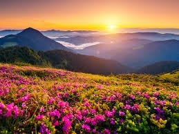 آرامش با برچسب دیواری نوزاد برای دیوار اتاق